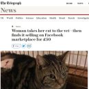 영국동물병원 이미지