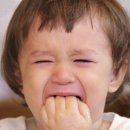 양푼속쪽갈비매워 이미지