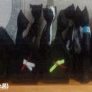 ㈜창의공작소 이미지