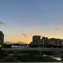 찬란화