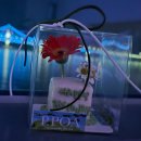 갈매기회타운 | 부산여행 1일차 코스｜간빠진새 → 오쪽이락 → 부산항 먹태클럽 → 민락회타운 → 해피몽크 저녁 브이로그