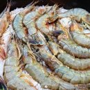 대하사우나 이미지