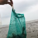 the sea 펜션 이미지