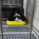 한가람병원 이미지