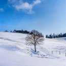 양떼목장 이미지