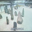 상록다실
