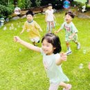 파프리카유치원 이미지