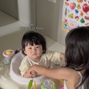 보행기만 샀는데 쏘서까지 해결됐어요, 엔픽스 롤링360이지 사용후기