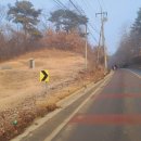 사목3리 Daum카페