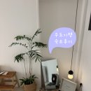 우도기행 | 우도 숙소 추천｜하고수동 해수욕장 근처 감성숙소 "우도기행"