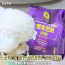 행복하개 | 기호성 좋은 건강사료 댕커벨 강아지 사료 행복하개 급여 후기