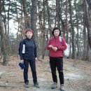 제603차문수야산결산(26년3월11일ㆍ수) 이미지