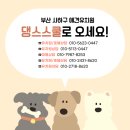 부산애견호텔댕스스쿨 - 사하구 장림시장5길 175 | 강아지유치원 부산애견호텔 댕스스쿨&댕스하우스