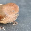 태백산맥문학관화장실 이미지