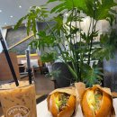 오백농장 이미지