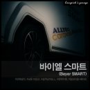 최저 지상고 도전! 소형 카라반 바이엘 스마트 전동 아웃 트리거 RV샐(베이직) 설치
