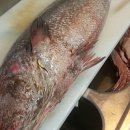 대림공판장 이미지