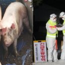 이남농장 이미지