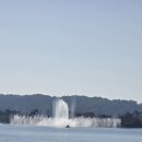 논산 탑정호 출렁다리를 걷다~~ 이미지