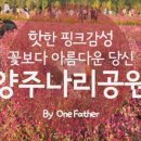 까사338(Casa338) 이미지
