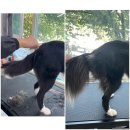 몽스빌리지 이미지