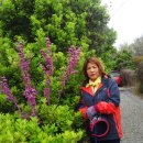 두척계곡 이미지