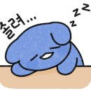 경희대꿈태권도장 이미지
