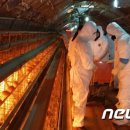 김제1농장 이미지