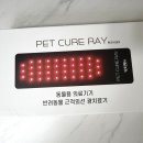 사랑 의료기기 | [강아지 관절 관리 홈케어] 펫큐어레이 커버큐 공동구매 후기｜동물용의료기기 허가 담요형 루틴 케어