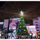 크리스마스 트리 축제 이미지