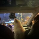 병동농장 | 나도 갔다 알로하와이