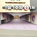 루나무인텔 이미지