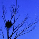 별이빛나는집 이미지