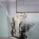 장현제일풍경채에듀 | 시흥도배 장현지구 시흥장현제일풍경채에듀아파트 거실벽+펜트리벽+안방벽 실크도배