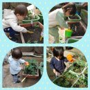 수림 어린이집 이미지