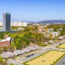 영남대학교 이미지