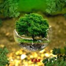 E&F행정사사무소 이미지