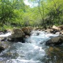 민물박사 이미지