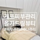 개포4-103 | [개포] 개포동 피부관리 만족도 높았던 올가드림뷰티