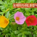 702033 이미지