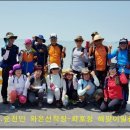 순천만 숲1 이미지