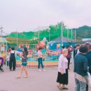 의림파크랜드 네이버블로그