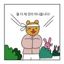 법인청춘