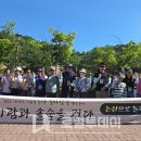 솔바람길 로컬투데이