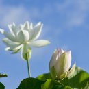 오정구청 이미지