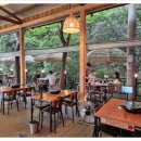 이맛이딱이야 이미지