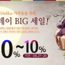 홀리카대전 이미지