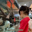 더하루 | 담양 대형 카페 찾는다면? 수족관 감성까지 있는‘더 하루’다녀온 후기