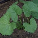 홍문농장 이미지