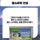 퉁소바위 이미지